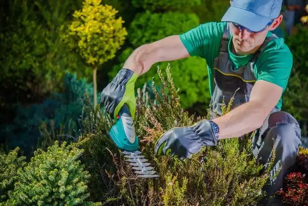 landscaping services Delhi Hills